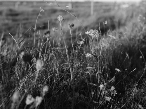 Sabine_Hess_5