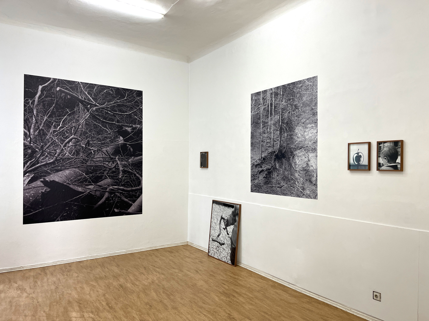 Sabine_Raum_hinten_3989