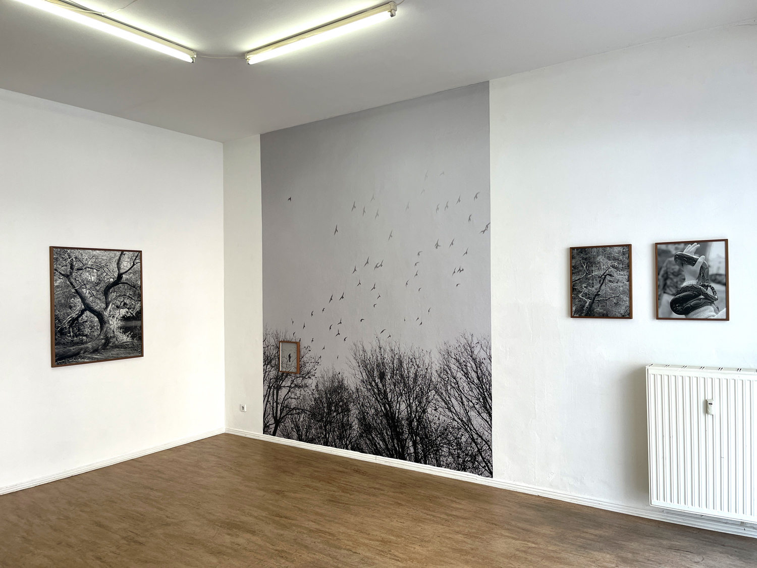 Sabine_Raum_vorn_3986