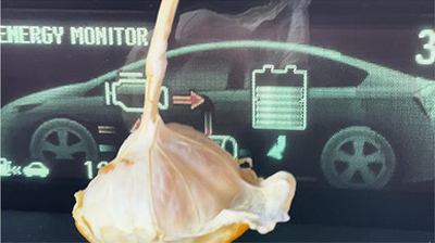 pmwe-press-release_kurtkurt